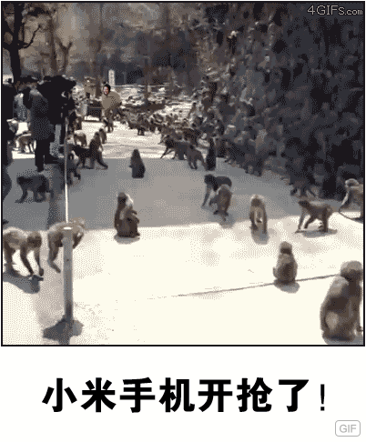 4GIFSC小米手机开抢了