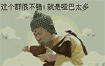 这个群不错就是哑巴太多