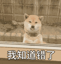 我知道错了——汪星人表情包