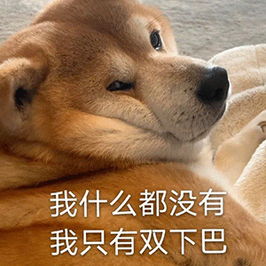 我什么都没有我只有双下巴——汪星人柴犬表情表情包