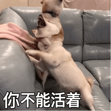 你不能活 - 汪星人打架锁喉表情表情包